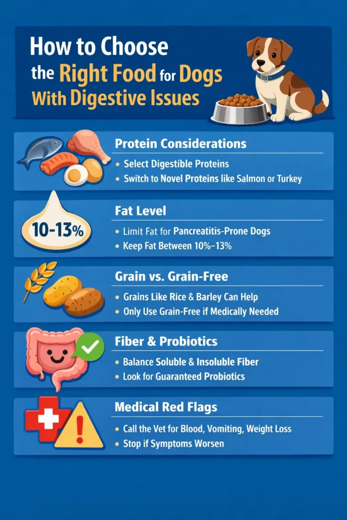 How to Choose the Right Food for Dogs With Digestive Issues