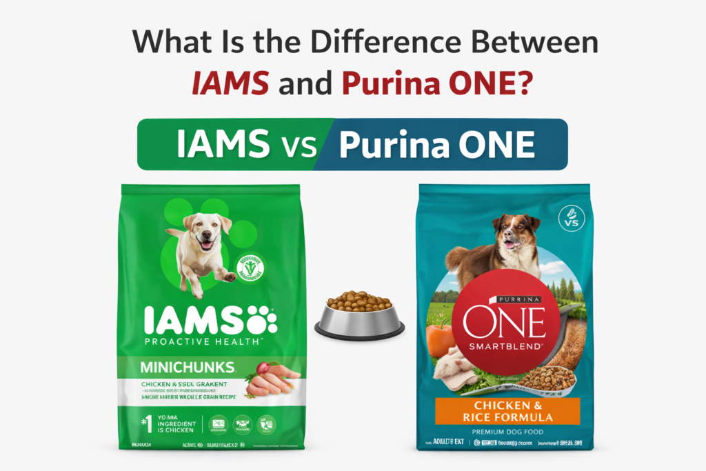 Difference Between IAMS and Purina ONE?