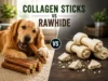 Collagen Sticks vs Rawhide (2026)