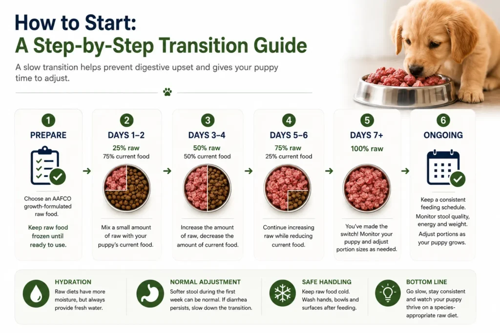 How to Start: A Step-by-Step Transition Guide