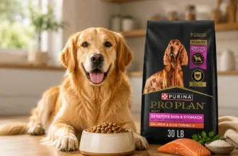 Best Dog Food for Sensitive Stomach