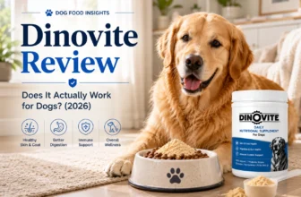 Dinovite Review
