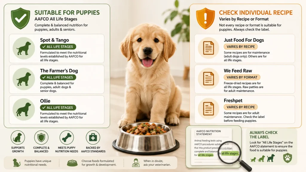 Which of These Are Actually Safe for a Puppy?