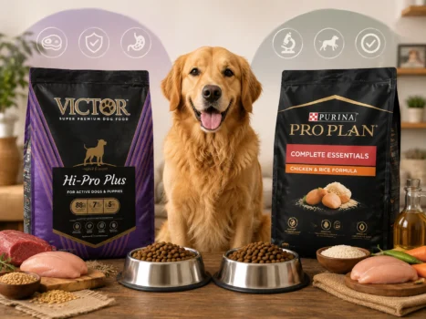 Victor vs Purina Pro Plan