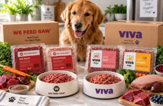We Feed Raw and Viva Raw dog food packages with raw meals and fresh ingredients in a kitchen setting