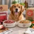 We Feed Raw vs Viva Raw: Which Raw Dog Food Is Safer?