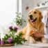 Dinovite Review: Does It Actually Work for Dogs? (2026)