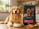 Best Dog Food for Sensitive Stomach: Top Picks 2026