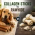 NexGard PLUS vs Simparica Trio: Which Is Better for Your Dog?