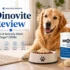 Is BarkBox Worth It? An Honest Review of What’s in the Box
