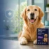 Collagen Sticks vs Rawhide (2026): Safety, Digestibility, and Which Is Better for Your Dog