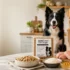 Supplements for Dog Shedding: What Actually Works (And What Doesn’t)