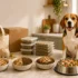 Best Senior Dog Food in 2026: 7 Vet-Informed Picks