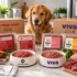 We Feed Raw vs The Farmer’s Dog (2026): Which Fresh Food Is Actually Right for Your Dog?