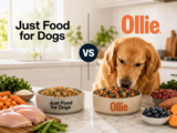 Just Food for Dogs vs Ollie: Which Fresh Dog Food Wins? (2026)