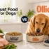 Nature’s Recipe Dog Food Reviews: Is It Actually a Good Dog Food?