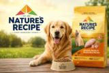 Nature’s Recipe Dog Food Reviews: Is It Actually a Good Dog Food?
