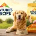 Just Food for Dogs vs Ollie: Which Fresh Dog Food Wins? (2026)