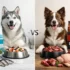 Purina Pro Plan vs Royal Canin (2026): Protein, Ingredients & Value Compared