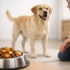 Purina Pro Plan vs Blue Buffalo (2026): Protein, Ingredients & Value Compared