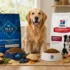 Royal Canin vs Blue Buffalo: Full Comparison (2026)
