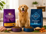 Wellness vs Blue Buffalo: Full Dog Food Comparison