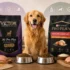 Ruff Greens vs Dinovite: Which Dog Supplement Wins in 2026?