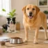 Best Dog Food for Diabetic Dogs: 7 Vet-Approved Picks 2026