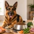 Best Dog Food for Large Breed Dogs in 2026 (Puppy, Adult & Senior)