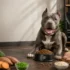 Diamond Naturals vs Purina Pro Plan: Which Wins in 2026?