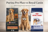 Purina Pro Plan vs Royal Canin (2026): Protein, Ingredients & Value Compared
