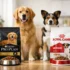 Purina Pro Plan vs Blue Buffalo (2026): Protein, Ingredients & Value Compared