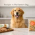 Best Dog Food for Golden Retriever Puppies