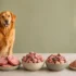 Frontline vs Bravecto (2026): Which Flea Treatment Actually Works Better for Your Dog?