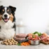 Best Freeze Dried Raw Dog Food in 2026: Top Picks by Vets & Real Owners