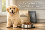 Best Dog Food for Golden Retriever Puppies
