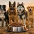 Best Dog Food for Anal Gland Issues: 2026 Top Picks